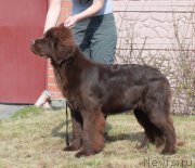 Превью фото № 206397