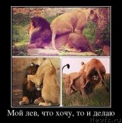 Превью фото № 206415