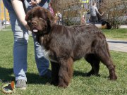 Превью фото № 206419