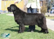 Превью фото № 206421