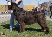 Превью фото № 206422