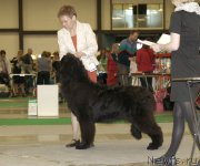 Превью фото № 206423