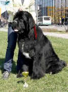 Превью фото № 206457