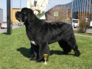 Превью фото № 206458