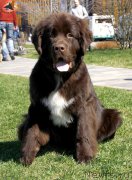 Превью фото № 206461