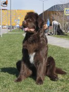 Превью фото № 206468