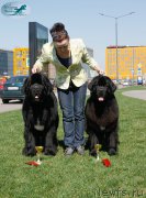 Превью фото № 206469