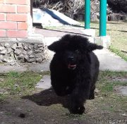 Превью фото № 206492