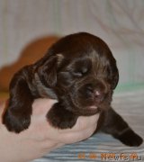 Превью фото № 206545