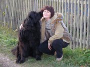 Превью фото № 206548