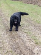 Превью фото № 206556