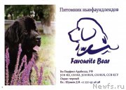 Превью фото № 206590