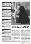 Превью фото № 206591