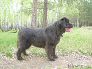 Превью фото № 206629