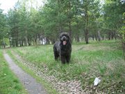 Превью фото № 206630