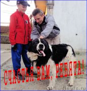 Превью фото № 206720