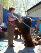 Превью фото № 206723