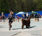 Превью фото № 206728