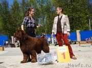 Превью фото № 206730