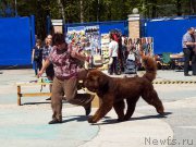 Превью фото № 206732