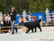 Превью фото № 206734