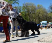 Превью фото № 206741