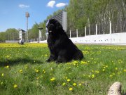 Превью фото № 206763