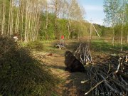 Превью фото № 206767