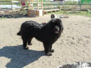 Превью фото № 206796