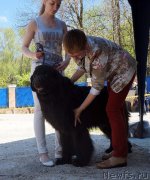 Превью фото № 206804