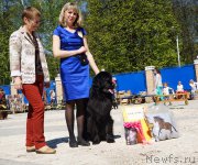 Превью фото № 206809