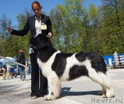 Превью фото № 206815