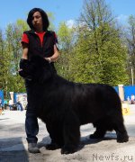 Превью фото № 206823