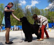 Превью фото № 206853