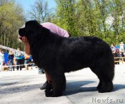Превью фото № 206857