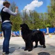 Превью фото № 206860