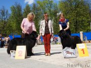 Превью фото № 206863