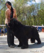 Превью фото № 206864