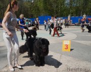 Превью фото № 206868