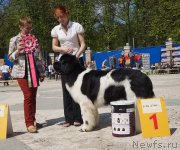 Превью фото № 206869