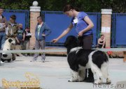 Превью фото № 206870