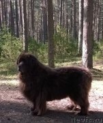 Превью фото № 206872