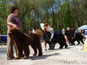 Превью фото № 206875