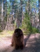 Превью фото № 206876