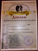 Превью фото № 206908