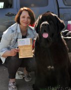 Превью фото № 206926