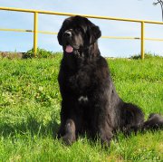 Превью фото № 206927