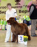 Превью фото № 206937