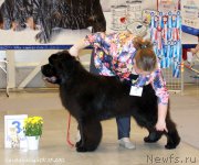 Превью фото № 206940