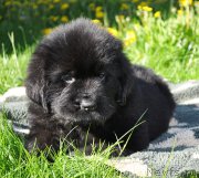 Превью фото № 206949